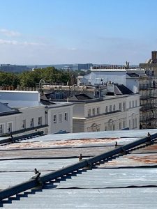 rooftop view